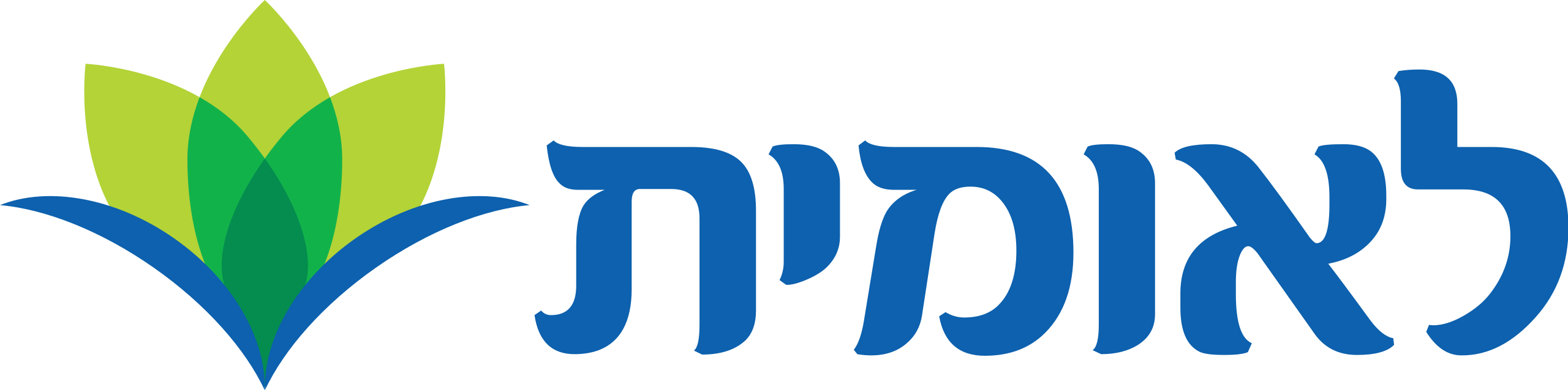 לוגו לאומית