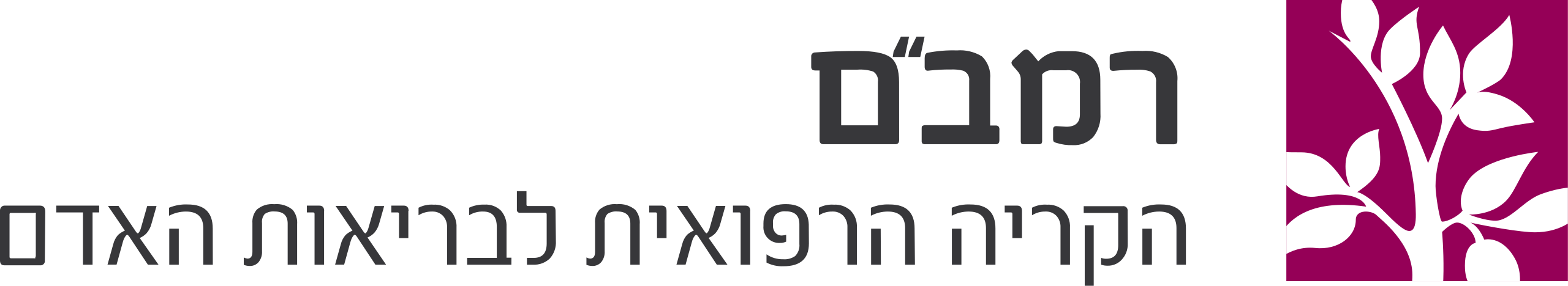 לוגו רמב